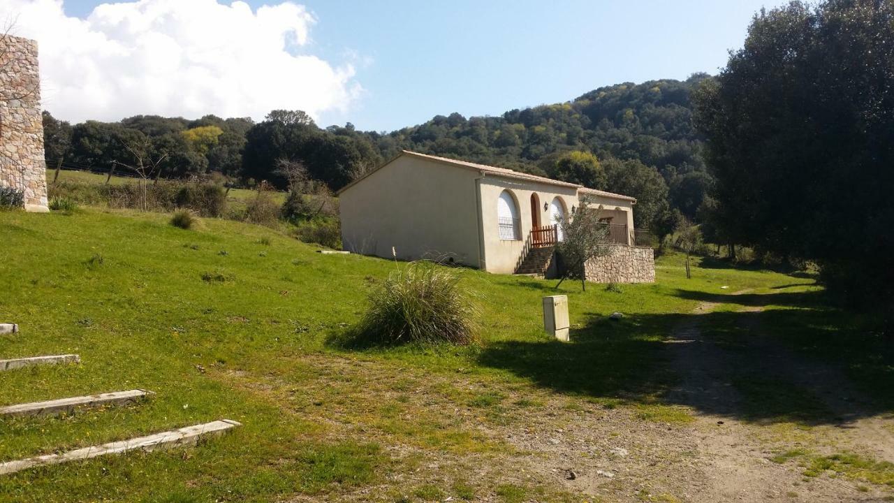 Courtaline Villa Pietralba Bagian luar foto